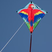 In the Breeze Parrot 30" Diamond Kite (Optimized for Shipping) 3218 View 2