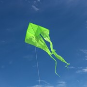 In the Breeze Green 77" Wave Delta Kite 3226 View 2