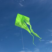 In the Breeze Green 77" Wave Delta Kite 3226 View 2