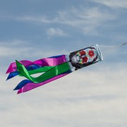 In the Breeze Sugar Skull 30" Windsock 5017 View 2