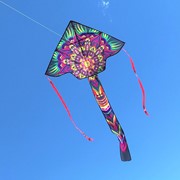 In the Breeze Mandala 45" Fly-Hi Kite 3241 View 2