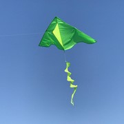 In the Breeze Green Colorblock Delta with Yellow Twister Tail 3246 View 2