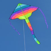 In the Breeze Neon Sunset 46" Fly-Hi 3252 View 2