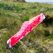 In the Breeze 24" Pink Koi 5124 View 2