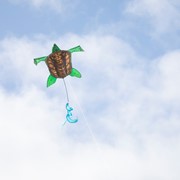 In the Breeze Realistic Sea Turtle Kite 3274 View 2