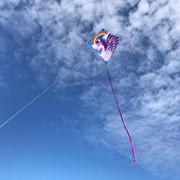 In the Breeze Pegasus 30" Diamond Kite (Optimized for Shipping) 3276 View 2
