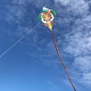 In the Breeze Tiger 30" Diamond Kite (Optimized for Shipping) 3279 View 2