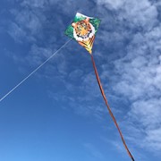 In the Breeze Tiger 30" Diamond Kite 3279 View 2