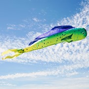 In the Breeze Dorado 48" Fish Windsock 5116 View 2