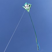 In the Breeze Panda 30" Diamond Kite (Optimized for Shipping) 3284 View 2