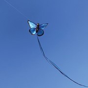 In the Breeze Blue Morpho Butterfly Kite 3287 View 2