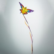 In the Breeze Fantasy Butterfly Kite 3288 View 2