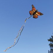 In the Breeze Monarch Butterfly Kite 3289 View 2