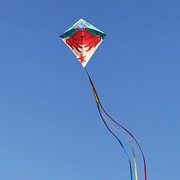 In the Breeze Crab 30" Diamond Kite (+) 3290 View 2