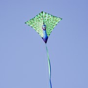 In the Breeze Peacock 30" Diamond Kite (Optimized for Shipping) 3291 View 2