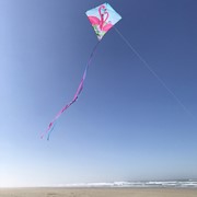 In the Breeze Flamingo 30" Diamond Kite (Optimized for Shipping) 3292 View 2