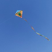 In the Breeze Dragon 30" Diamond Kite (+) 3293 View 2