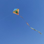 In the Breeze Dragon 30" Diamond Kite (Optimized for Shipping) 3293 View 2