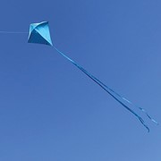 In the Breeze Blueberry 30" Colorfly Diamond Kite (+) 3294 View 2
