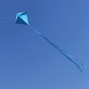 In the Breeze Blueberry 30" Colorfly Diamond Kite (Optimized for Shipping) 3294 View 2