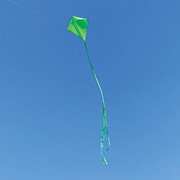 In the Breeze Lime Colorfly 30" Diamond Kite (+) 3297 View 2