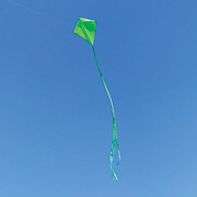 In the Breeze Lime Colorfly 30" Diamond Kite (Optimized for Shipping) 3297 View 2