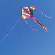 In the Breeze Dayglow 45" Fly-Hi Kite 3313 View 2