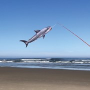 In the Breeze Baby Shark 30" Fish Windsock 5154 View 2