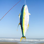 In the Breeze Yellowfin Tuna 48" Fish Windsock 5162 View 2