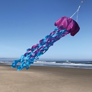 In the Breeze Jellyfish 3D Windsock 5170 View 2