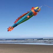 In the Breeze Dragon 50" 3D Windsock 5171 View 2