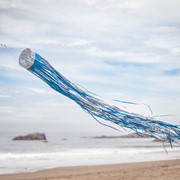 In the Breeze Cobalt 51" Mylar Windsock 9063 View 2