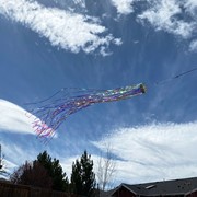 In the Breeze Iridescent 51" Mylar Windsock 9064 View 2