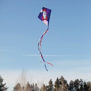 In the Breeze Rocket 30" Diamond Kite (+) 3319 View 2