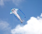 In the Breeze Dolphin 45" Fly-Hi Kite 3321 View 2