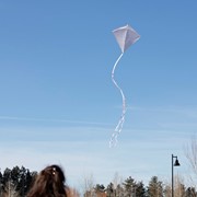 In the Breeze Coconut Colorfly 30" Diamond Kite (Optimized for Shipping) 3325 View 2