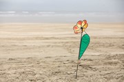 Wind Fairys Small Yellow Daisy Spinner WF-70413 View 2