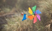 Wind Fairys Rainbow Flower Windmill Ground Spinner WF-81120 View 2