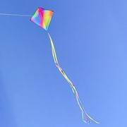 In the Breeze Jewel 30" Diamond Kite 3331 View 2