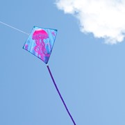 In the Breeze Jellyfish 30" Diamond Kite (Optimized for Shipping) 3332 View 2
