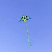 In the Breeze Manu Green 72" Delta Kite 3339 View 2