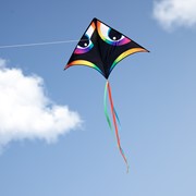 In the Breeze Manu Aurora 72" Delta Kite 3340 View 2