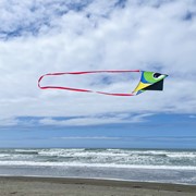 In the Breeze 20' Continuous Kite Tail - Red 3439 View 2