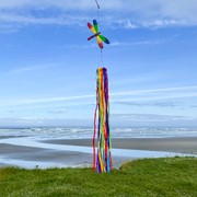 In the Breeze Dragonfly & Ribbon Windsock 5193 View 2