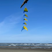 In the Breeze Yellow & Blue Resin Fish Mobile 7022 View 2