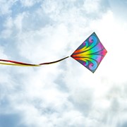 In the Breeze Aurora 30" Diamond Kite (Optimized for Shipping) 3344 View 2