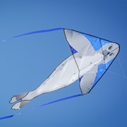 In the Breeze Seal 46" Fly-Hi Kite 3347 View 2