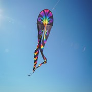 In the Breeze 22" Aurora Dancing Dragon Kite 3355 View 2
