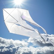In the Breeze White 77" Wave Delta Kite 3356 View 2