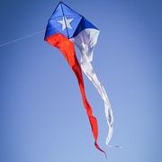 In the Breeze Texas 77" Wave Delta Kite 3357 View 2